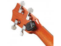 D´Addario PW-CT-21 D´Addario PW-CT-21
